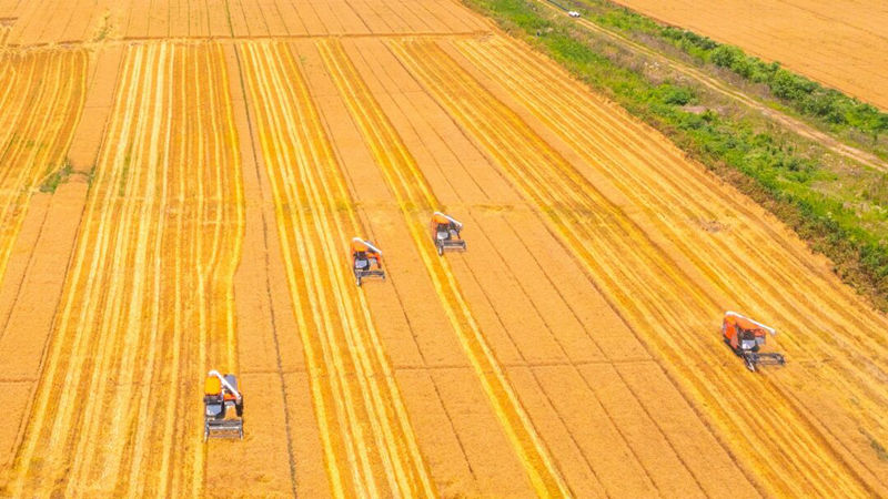 浙農股份典型案例入選全國總社&ldquo;綠色農資&rdquo;升級行動案例集